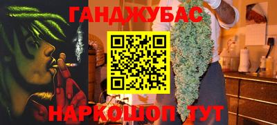 сатива Камышлов
