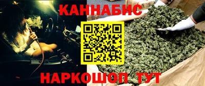 сатива Камышлов