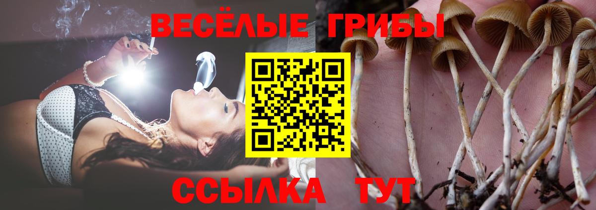 Барабинск  Галлюциногенные грибы мухоморы  Вход с VPN 