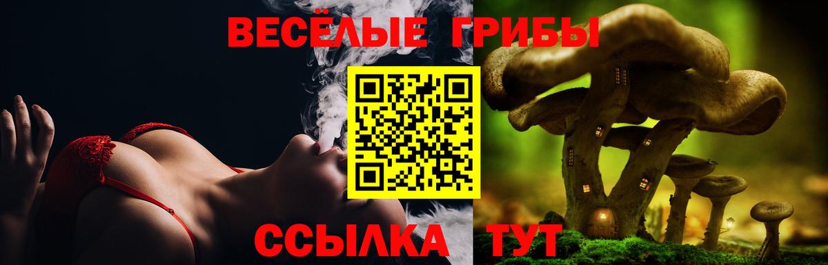 Галлюциногенные грибы ЛСД Барабинск